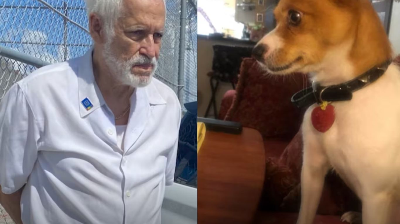 Crueldad animal en Kissimmee: arrestan a hombre