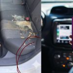 Conductor de Lyft: acusan uso de IA para fraude